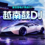 越南鼓第1期│重低音DJ电音